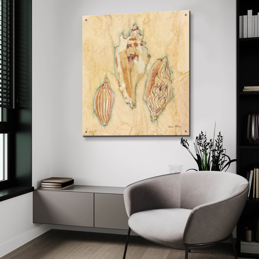 Shells 1 by Cheri Blum - 36x36 acrylic wall art in a room