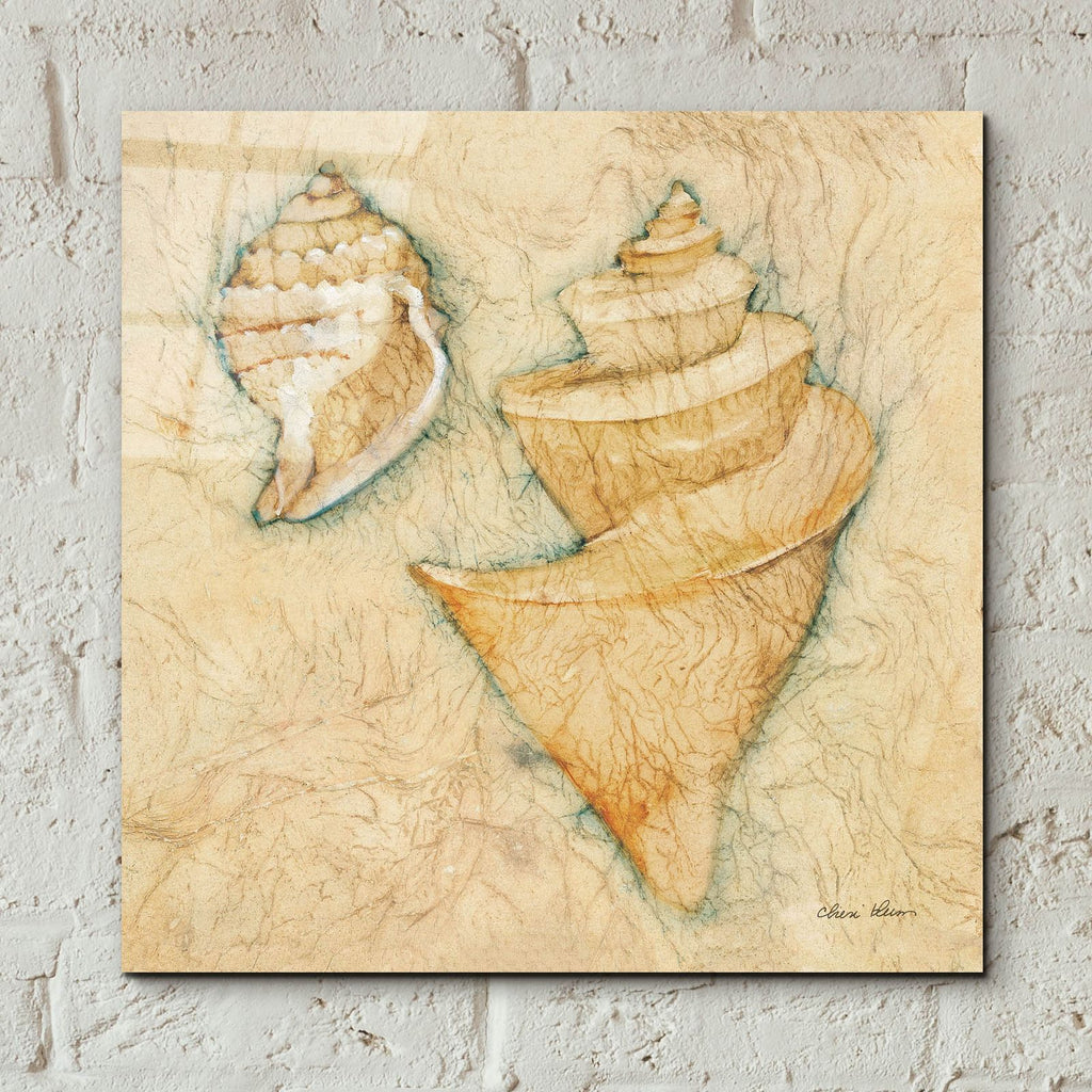 Shells 2 by Cheri Blum - 12x12 acrylic wall art in a room