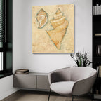 Shells 2 by Cheri Blum - 36x36 acrylic wall art in a room