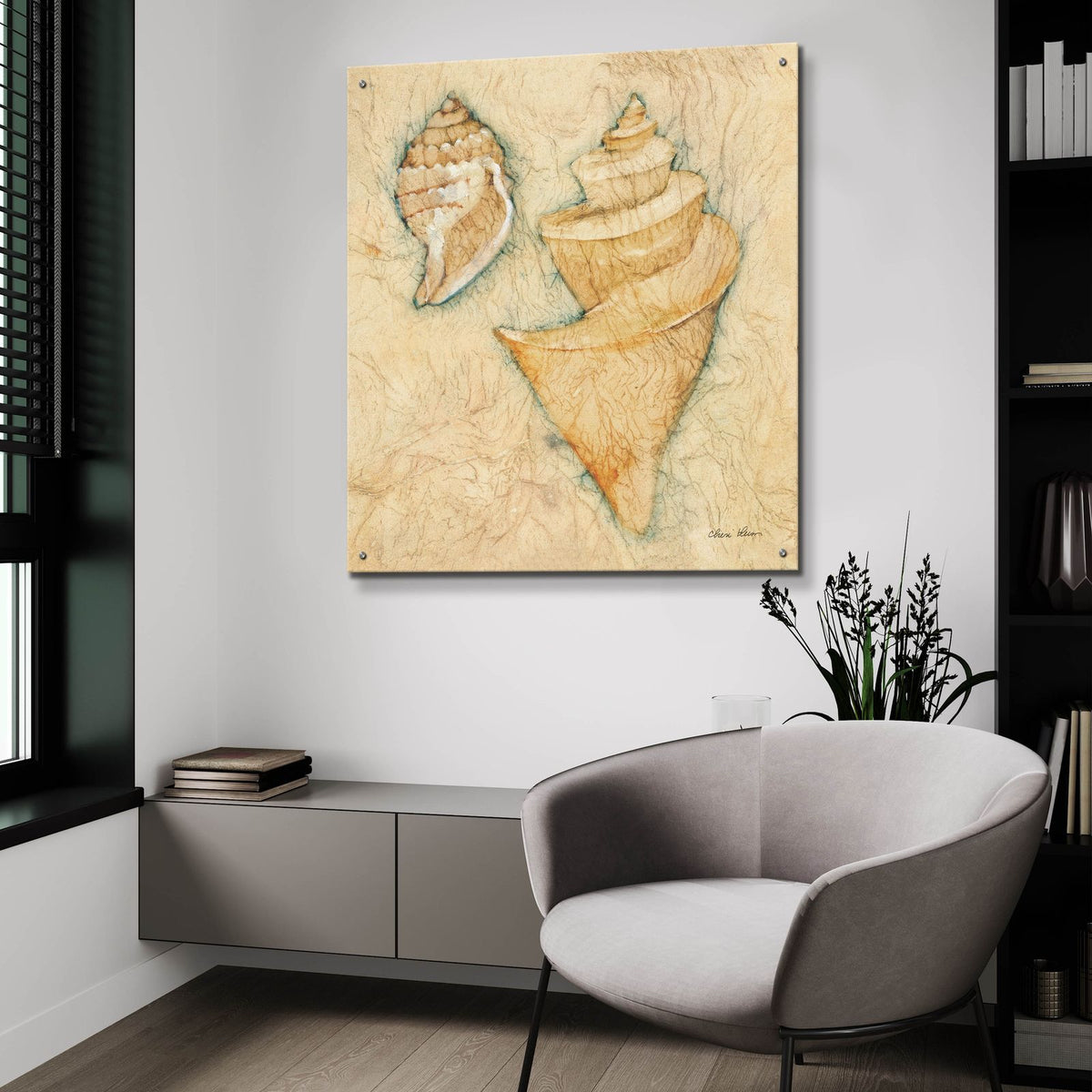 Shells 2 by Cheri Blum - 36x36 acrylic wall art in a room