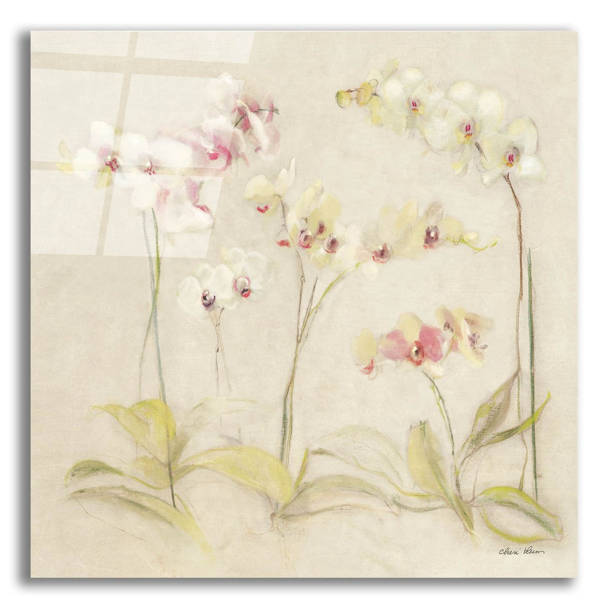 The Dance Of The Orchids 2 by Cheri Blum acrylic glass wall art