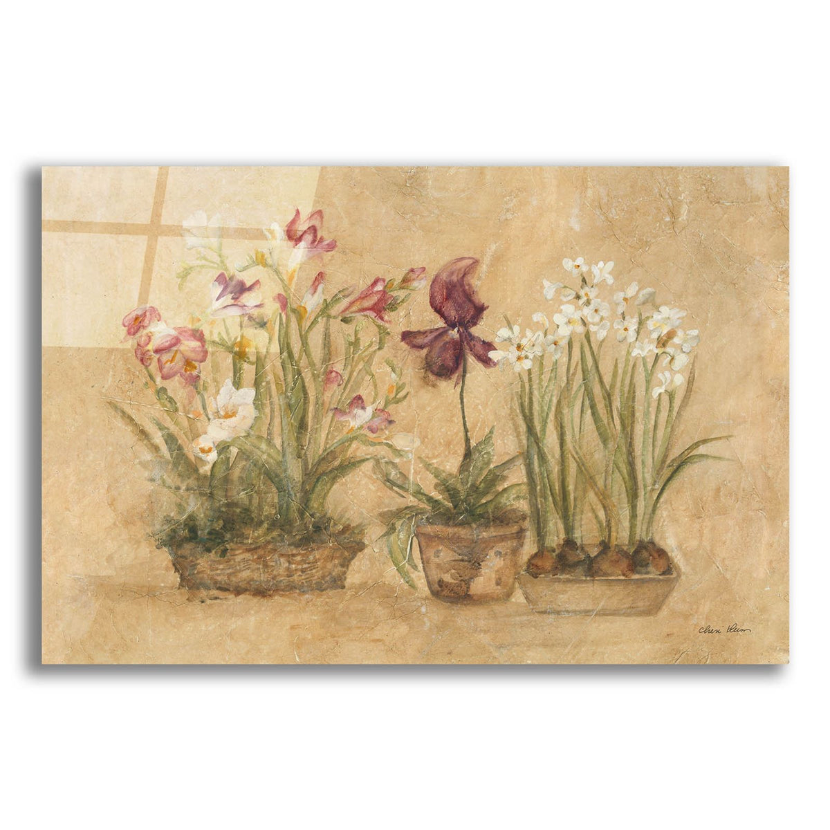 Three Floral Baskets by Cheri Blum acrylic glass wall art