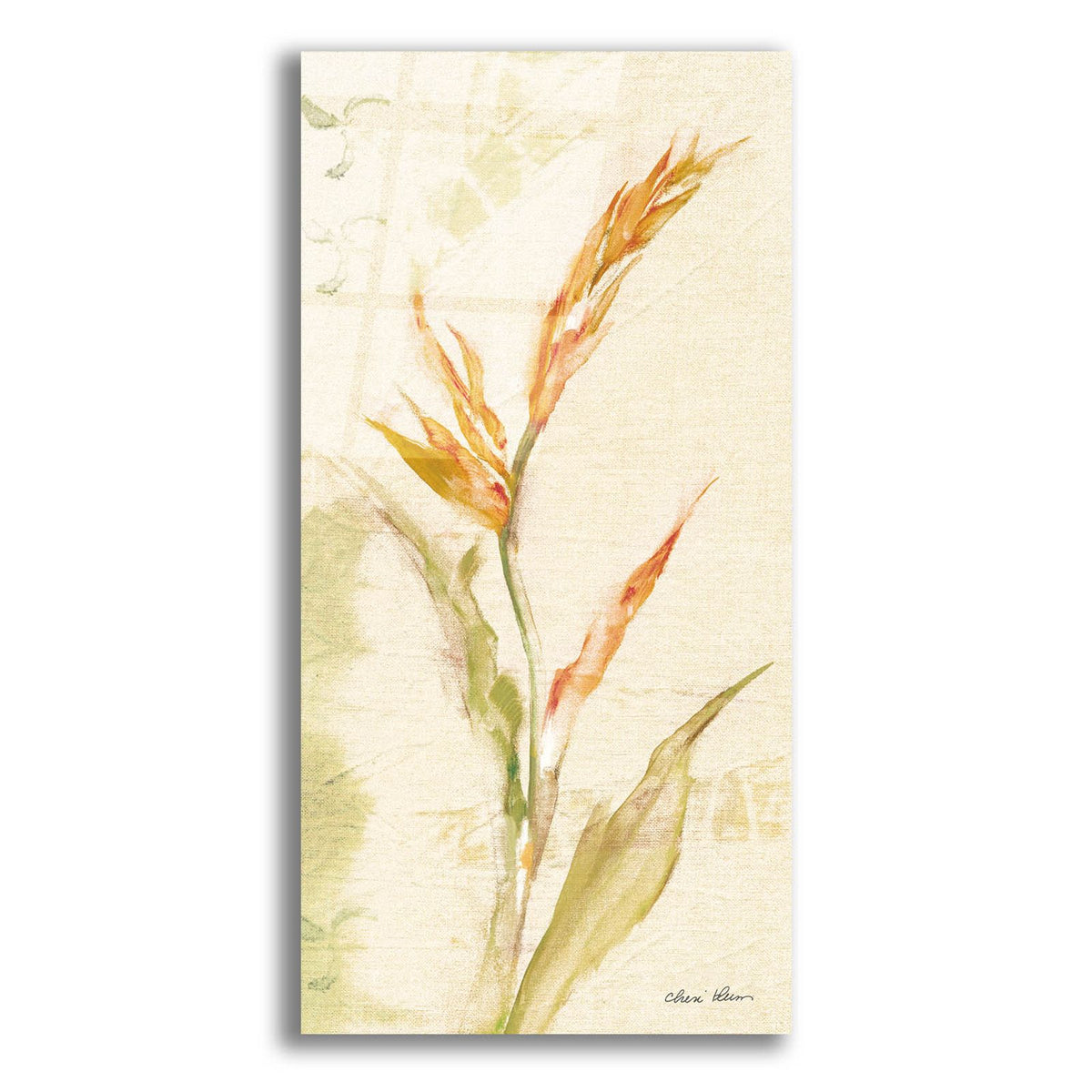 Tropical Floral I Light by Cheri Blum acrylic glass wall art