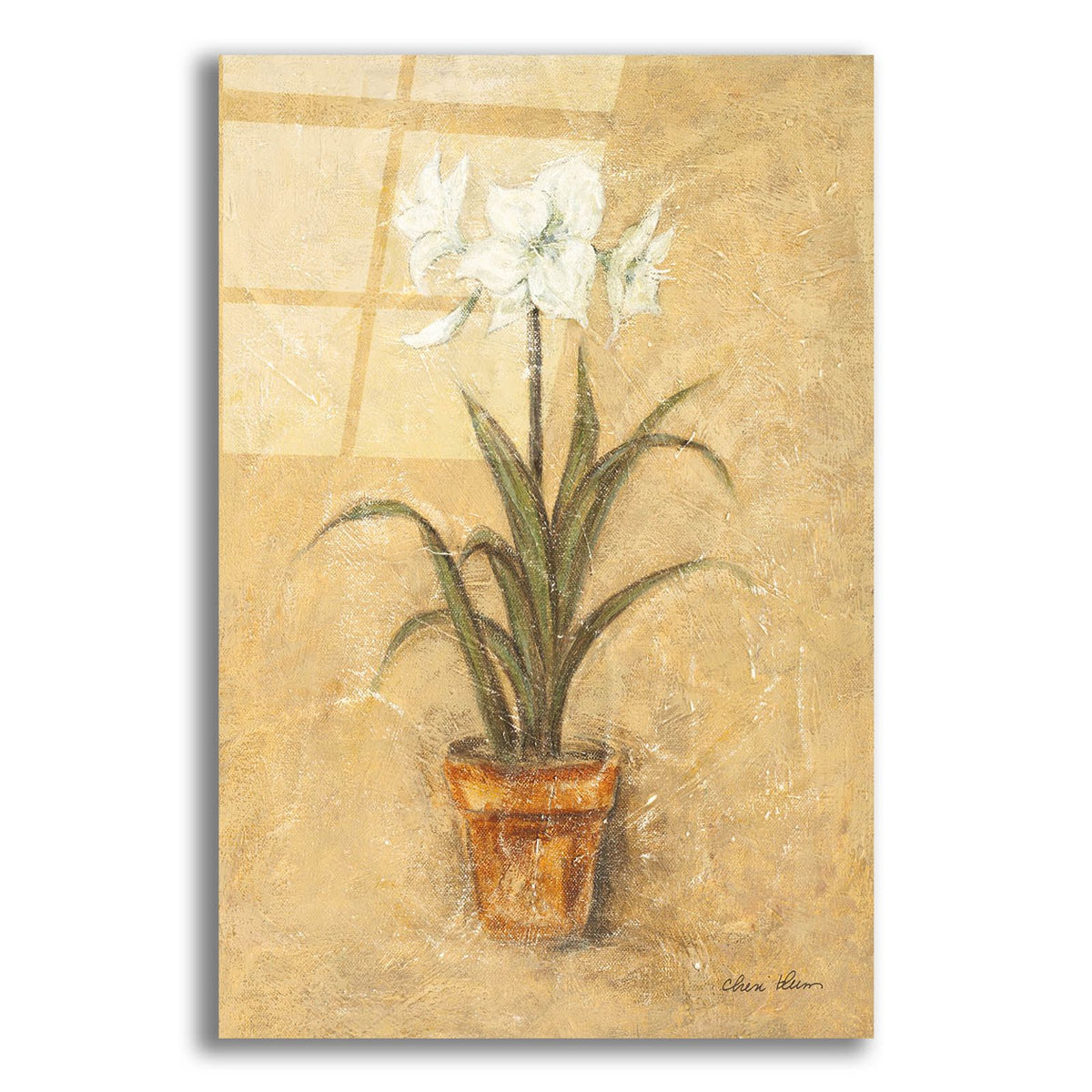 White Amaryllis 2 by Cheri Blum acrylic glass wall art