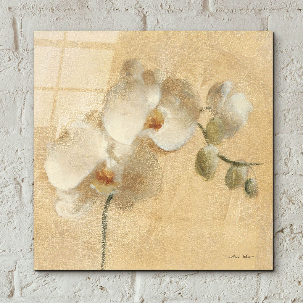 White Orchid Crop by Cheri Blum - 12x12 acrylic wall art in a room