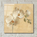 White Orchid Crop by Cheri Blum - 12x12 acrylic wall art in a room