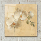 White Orchid Crop by Cheri Blum - 12x12 acrylic wall art in a room