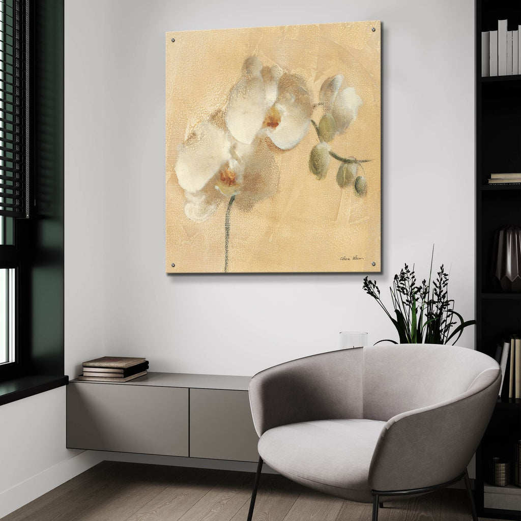 White Orchid Crop by Cheri Blum - 36x36 acrylic wall art in a room