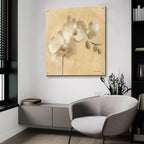 White Orchid Crop by Cheri Blum - 36x36 acrylic wall art in a room