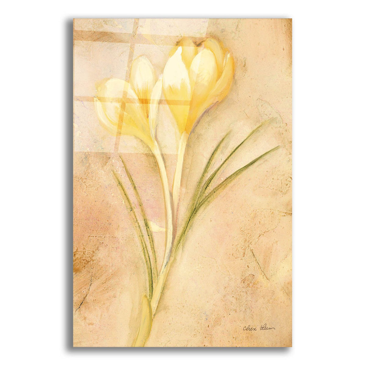 Yellow Crocus by Cheri Blum acrylic glass wall art