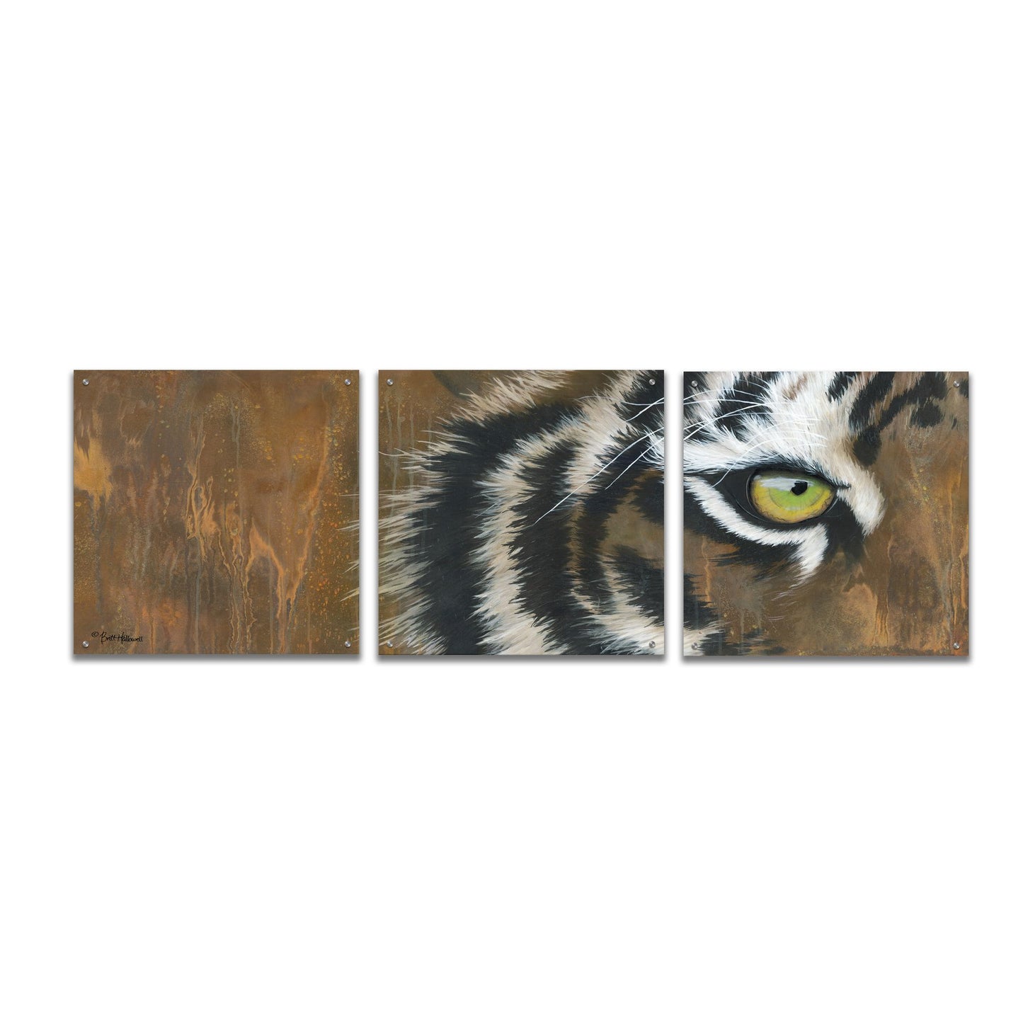 Epic Art 'Searching for the Man Cub' by Britt Hallowell, Acrylic Glass Wall Art, 3 Piece Set