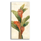Epic Art 'Ginger Blossom On White'  by Albena Hristova Acrylic Glass Wall Art