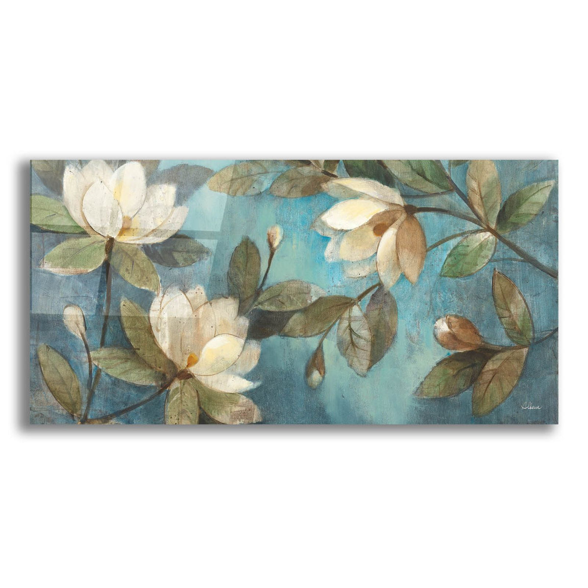 Epic Art 'Floating Magnolias'  by Albena Hristova Acrylic Glass Wall Art