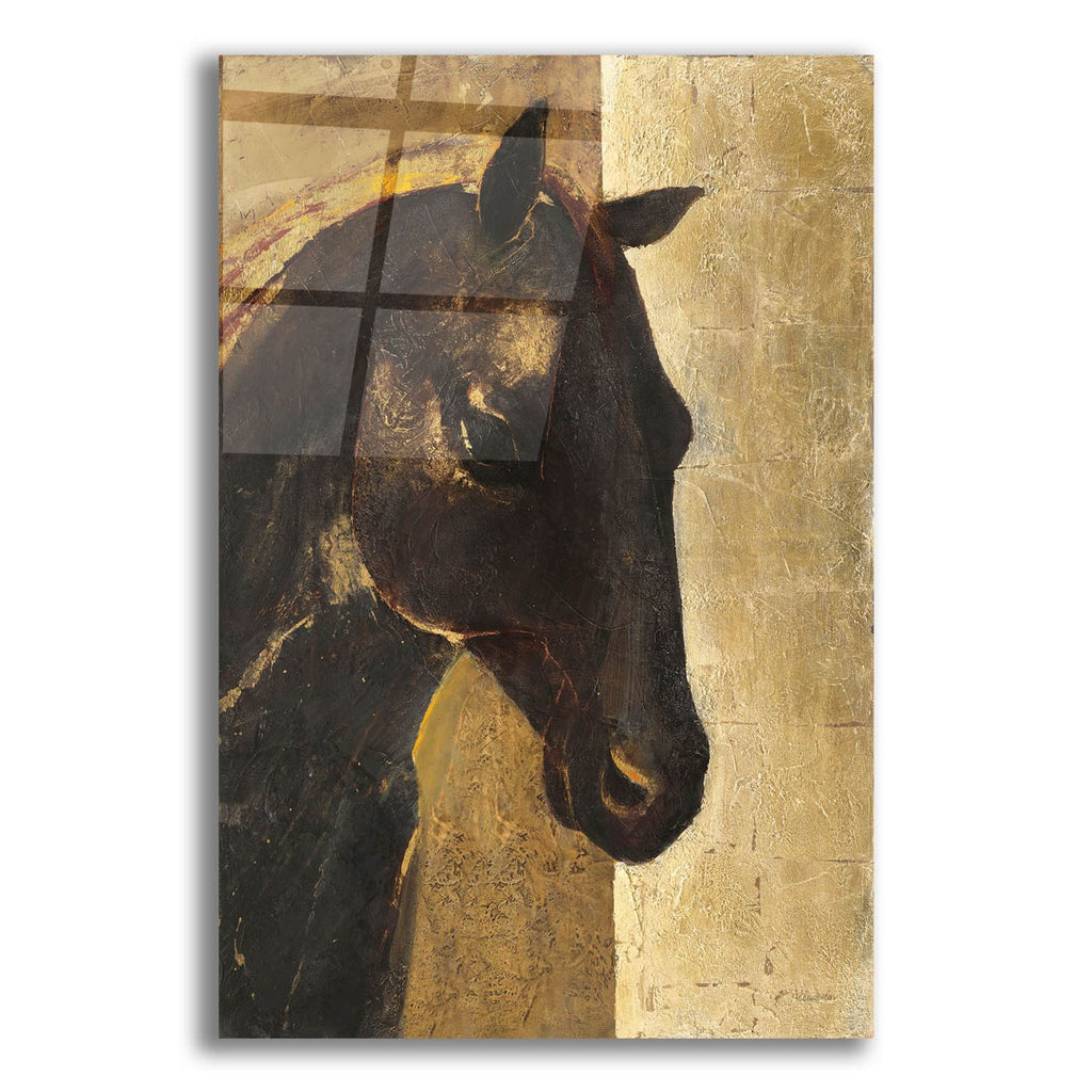 Trojan Horse I Gold by Albena Hristova acrylic glass wall art