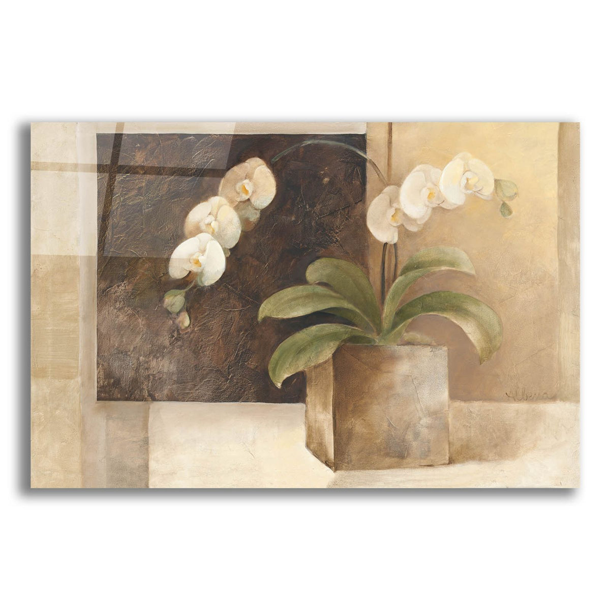 Epic Art 'Contemporary Orchid'  by Albena Hristova Acrylic Glass Wall Art