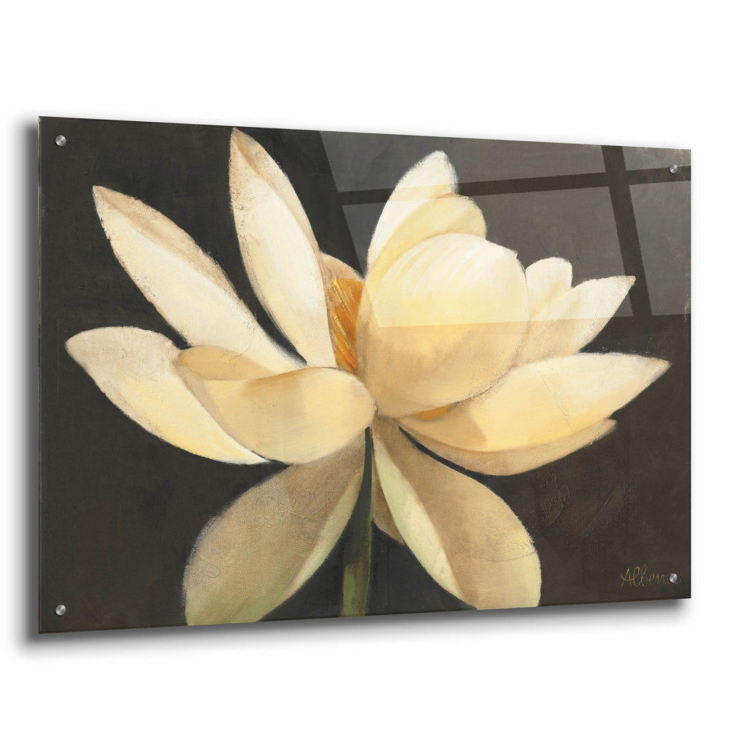 Epic Art 'Unfolding'  by Albena Hristova Acrylic Glass Wall Art,36x24