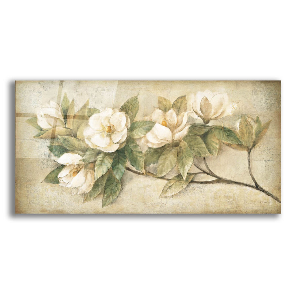 Sugar Magnolia Vintage by Albena Hristova acrylic glass wall art