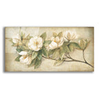 Sugar Magnolia Vintage by Albena Hristova acrylic glass wall art