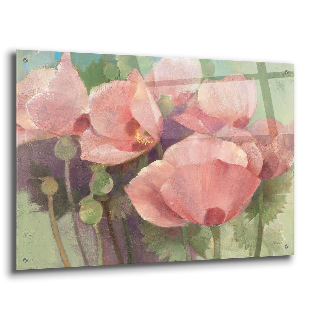Epic Art 'Just Poppies'  by Albena Hristova Acrylic Glass Wall Art,36x24