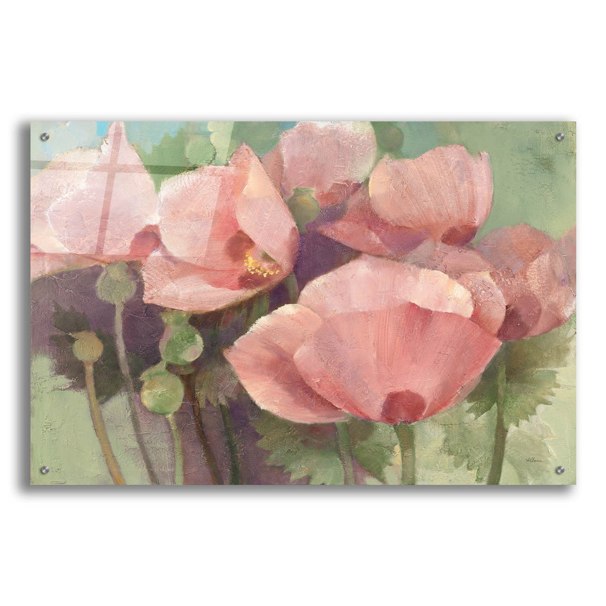 Epic Art 'Just Poppies'  by Albena Hristova Acrylic Glass Wall Art,36x24