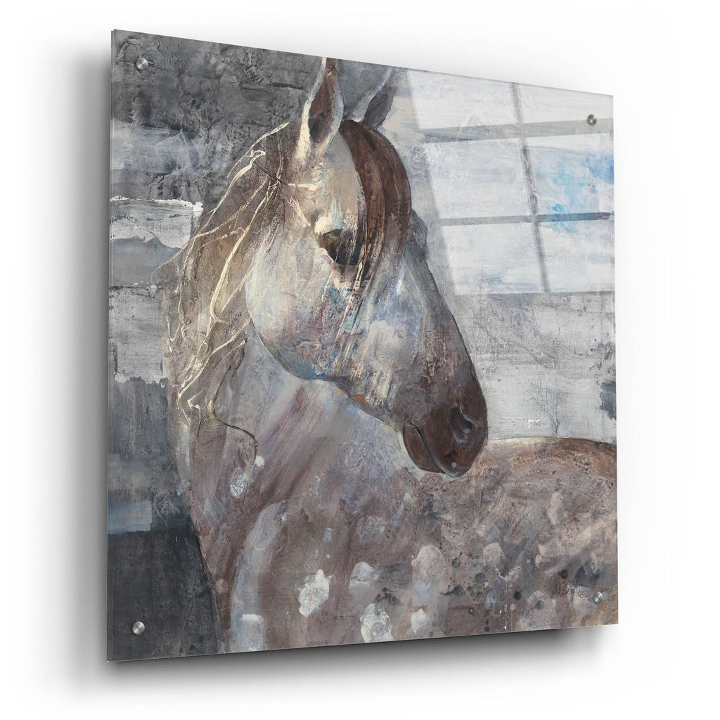 Epic Art 'Appaloosa'  by Albena Hristova Acrylic Glass Wall Art,24x24