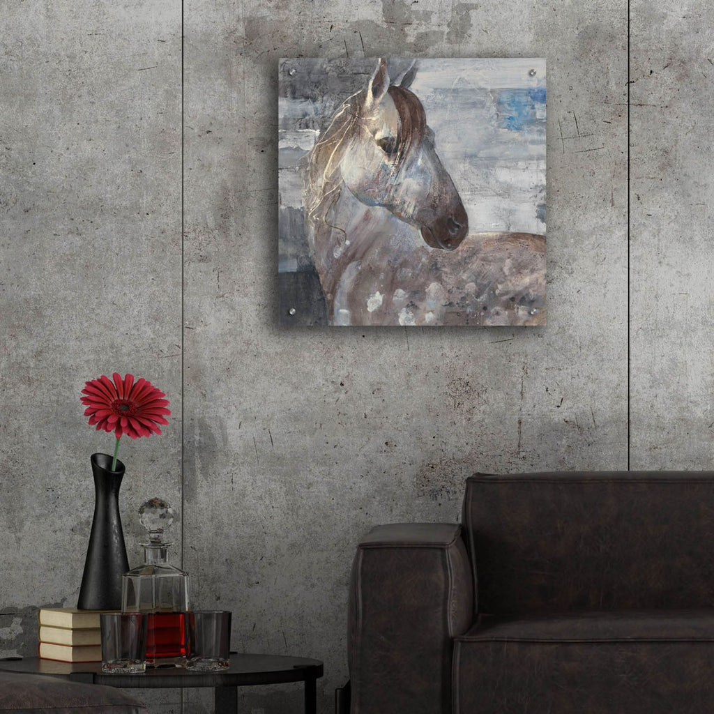 Epic Art 'Appaloosa'  by Albena Hristova Acrylic Glass Wall Art,24x24