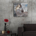 Epic Art 'Appaloosa'  by Albena Hristova Acrylic Glass Wall Art,24x24