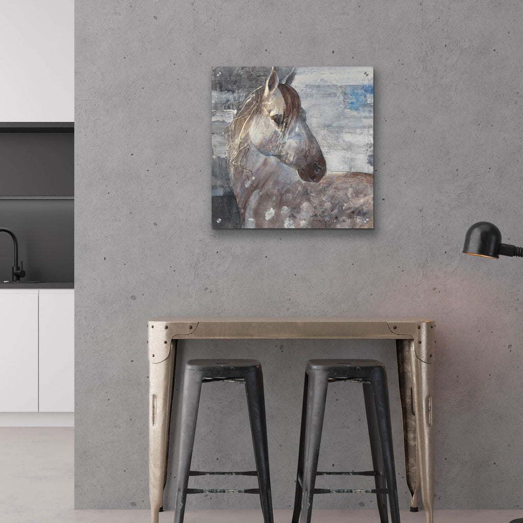 Epic Art 'Appaloosa'  by Albena Hristova Acrylic Glass Wall Art,24x24