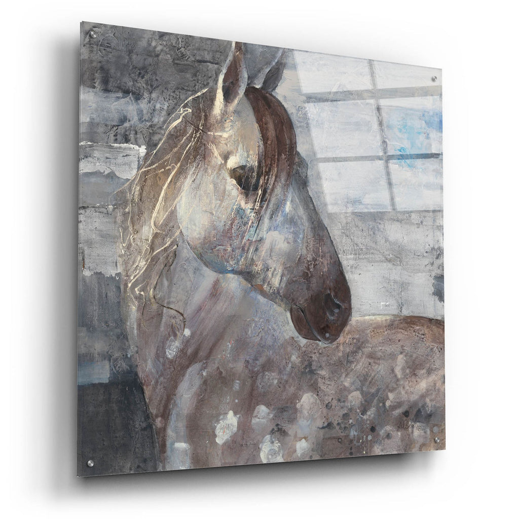 Epic Art 'Appaloosa'  by Albena Hristova Acrylic Glass Wall Art,36x36