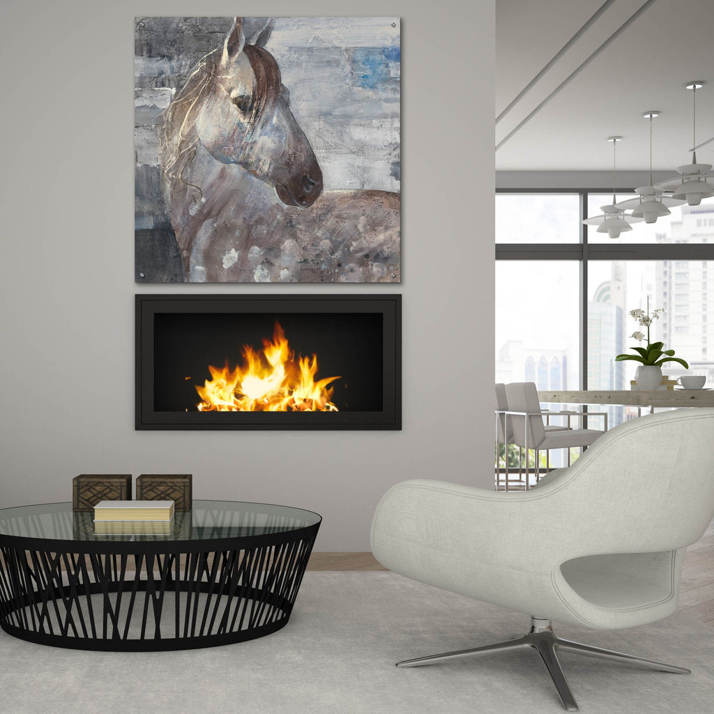 Epic Art 'Appaloosa'  by Albena Hristova Acrylic Glass Wall Art,36x36