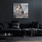 Epic Art 'Appaloosa'  by Albena Hristova Acrylic Glass Wall Art,36x36