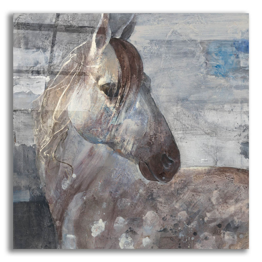 Appaloosa by Albena Hristova acrylic glass wall art