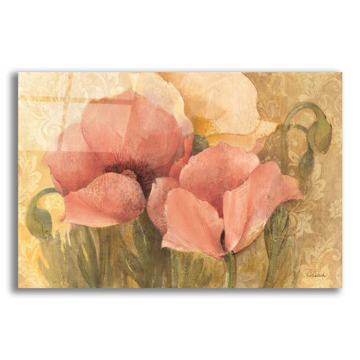 Poppy Delight by Albena Hristova acrylic glass wall art