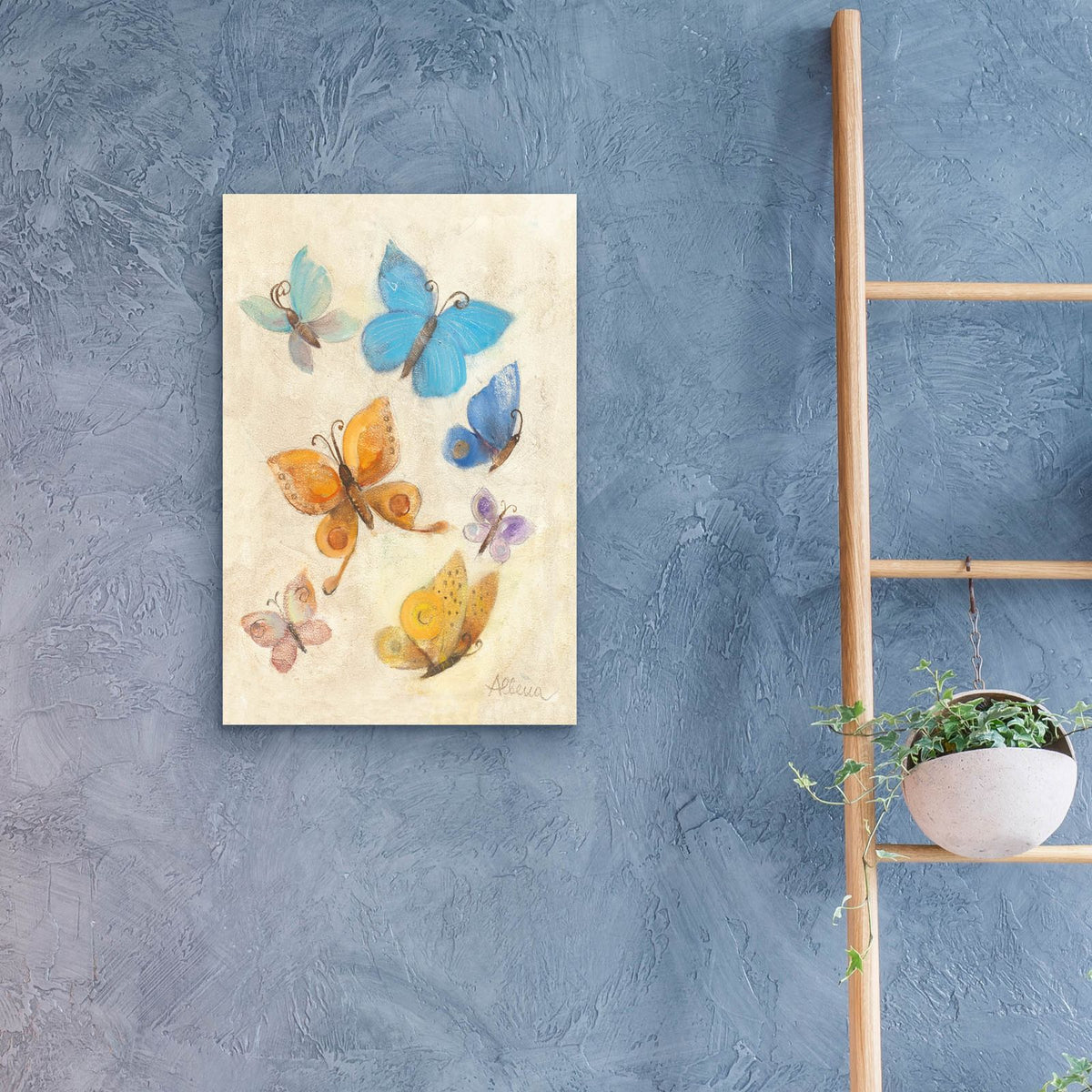 Butterflies by Albena Hristova - 16x24 acrylic wall art in a room