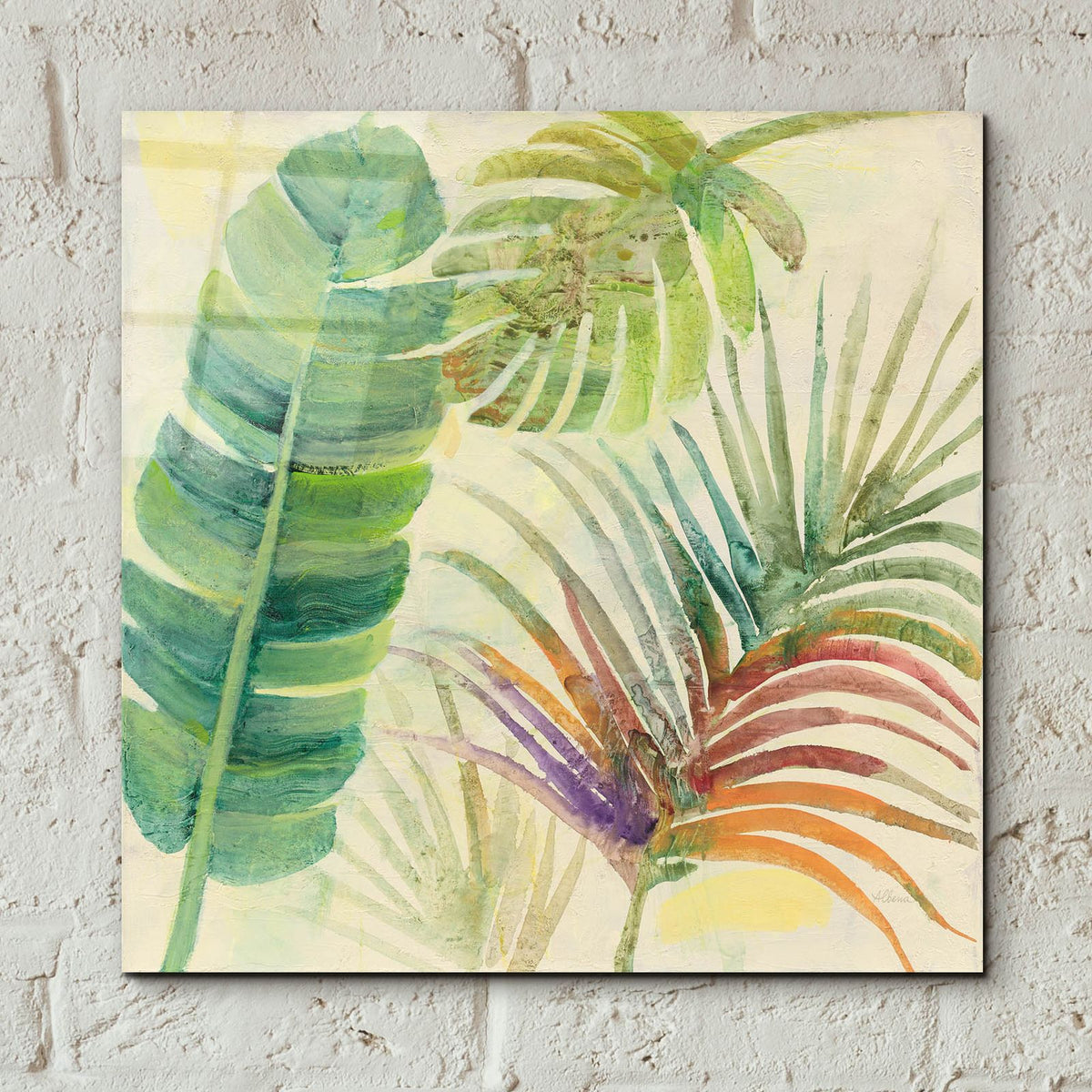 Tropical Delight 1 by Albena Hristova - 12x12 acrylic wall art in a room