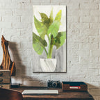 Tropical Planter 1 by Albena Hristova - 12x24 acrylic wall art in a room
