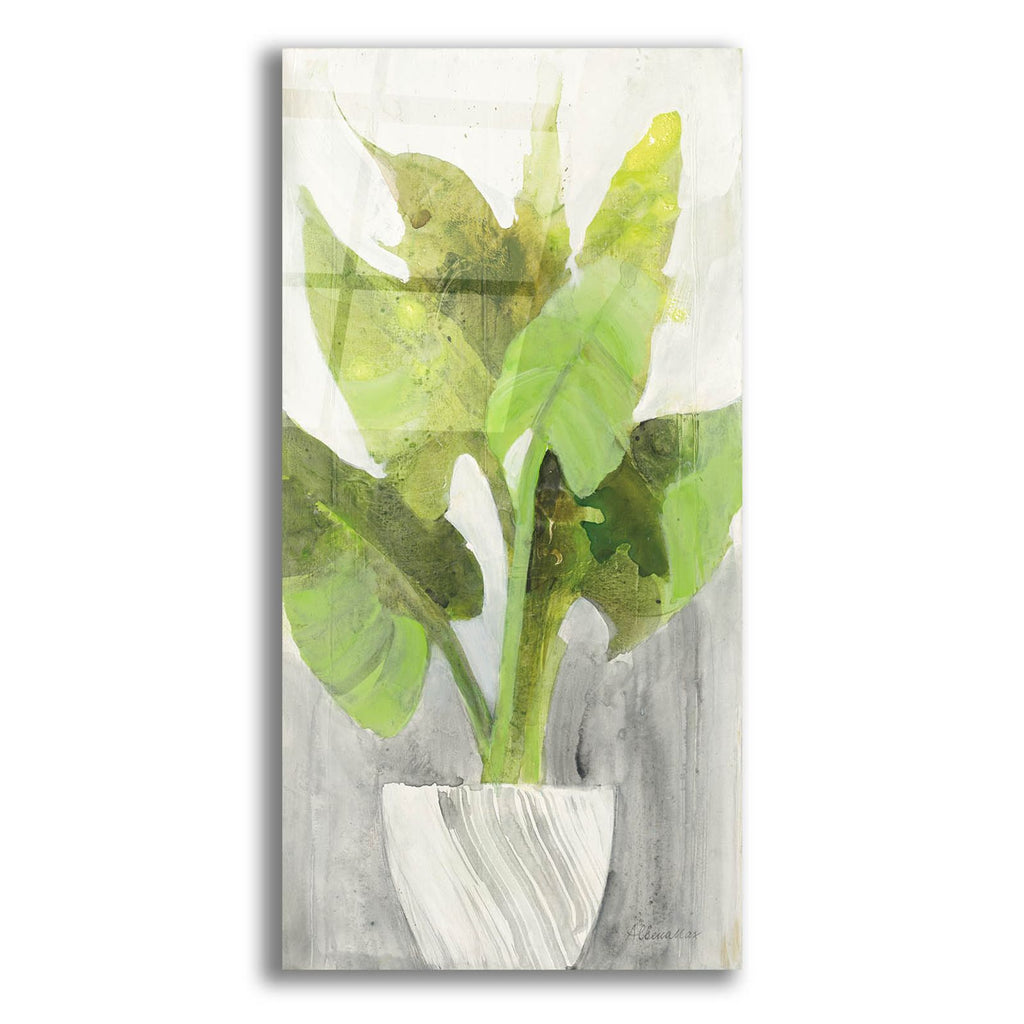 Tropical Planter 1 by Albena Hristova acrylic glass wall art