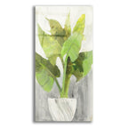 Tropical Planter 1 by Albena Hristova acrylic glass wall art