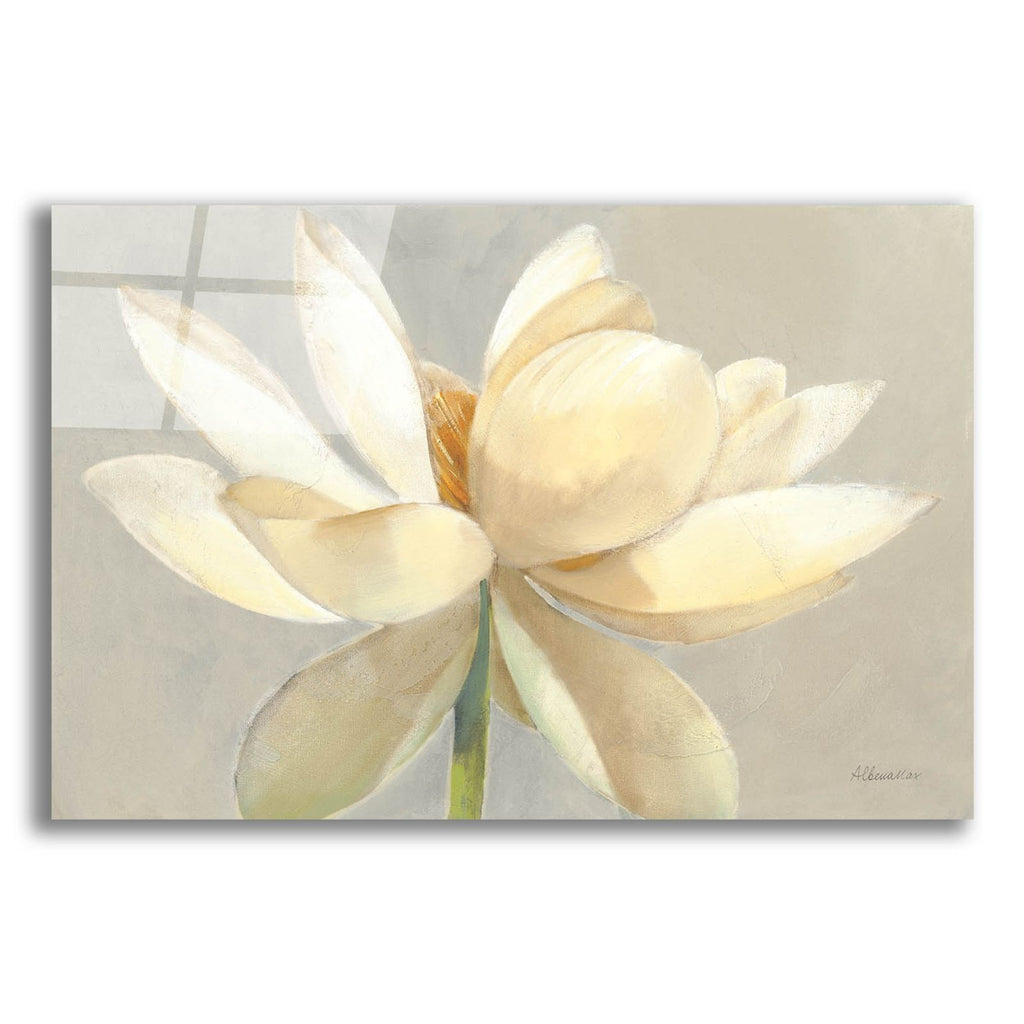Unfolding Light by Albena Hristova acrylic glass wall art