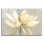 Unfolding Light by Albena Hristova acrylic glass wall art