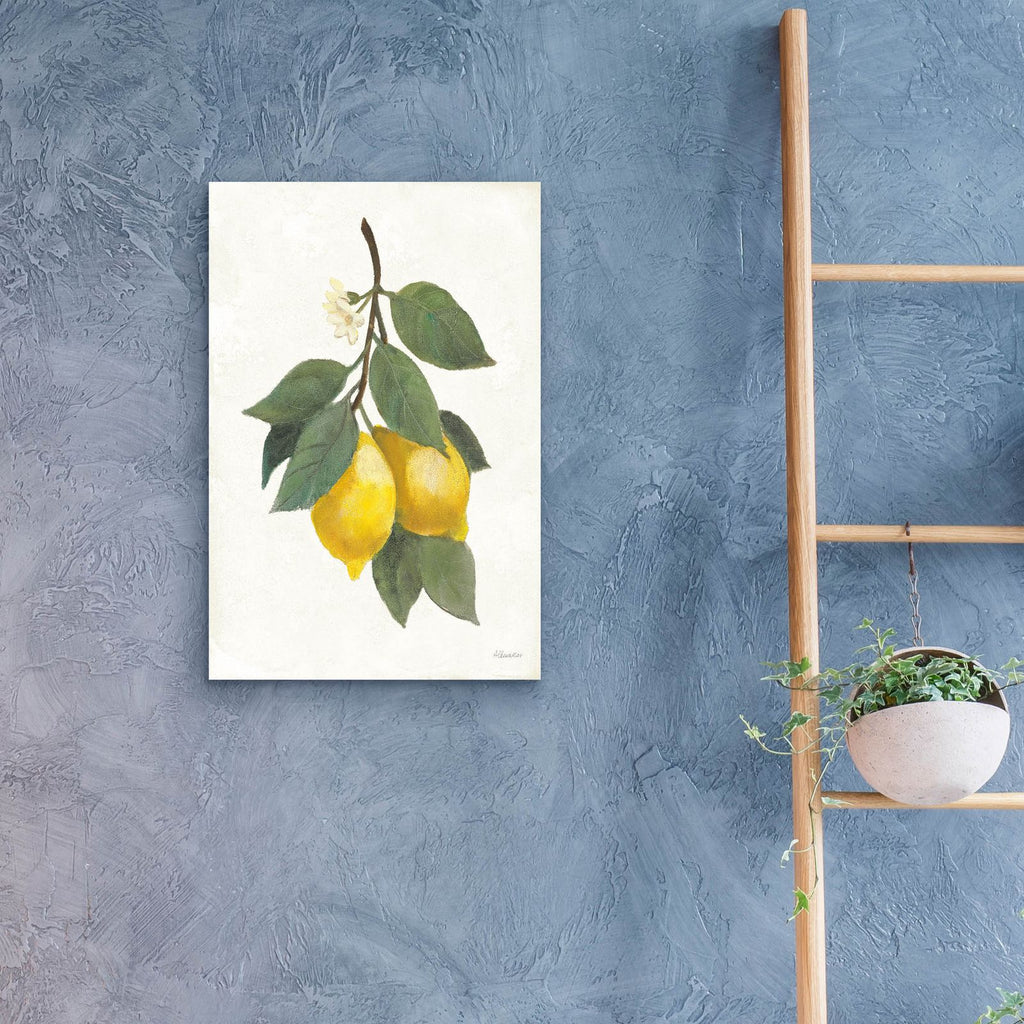 Lemon Branch 2 by Albena Hristova - 16x24 acrylic wall art in a room