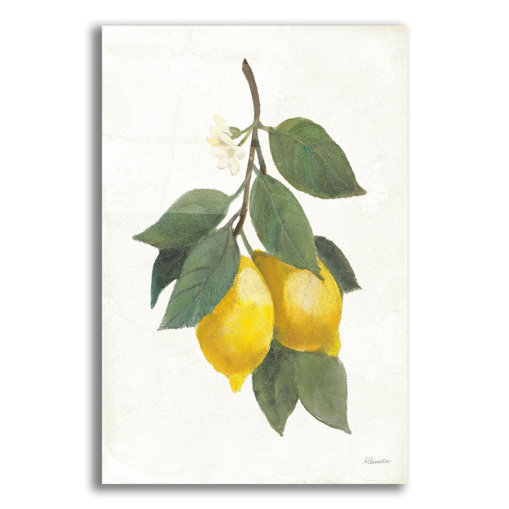 Lemon Branch 2 by Albena Hristova acrylic glass wall art