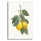Lemon Branch 2 by Albena Hristova acrylic glass wall art