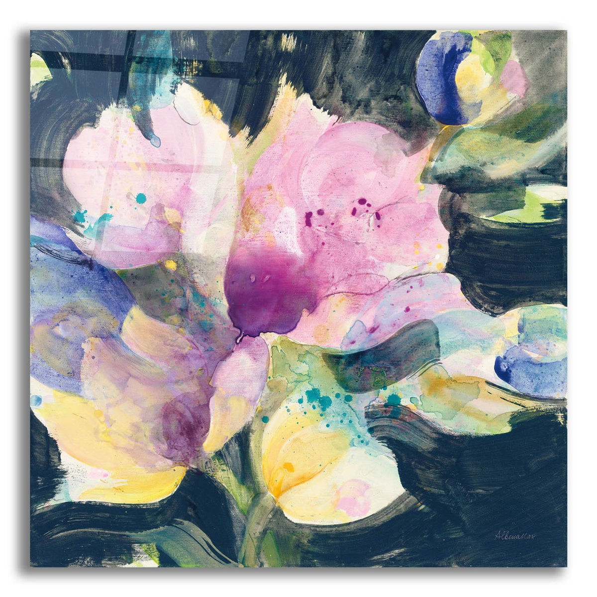 Tulip Splash by Albena Hristova acrylic glass wall art