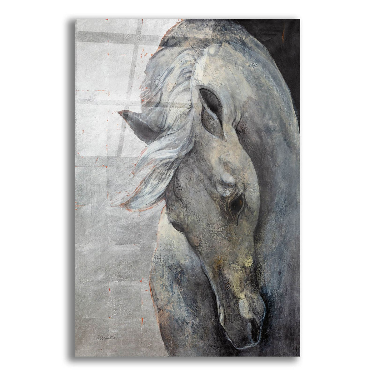 Shy Grey No Tear by Albena Hristova acrylic glass wall art