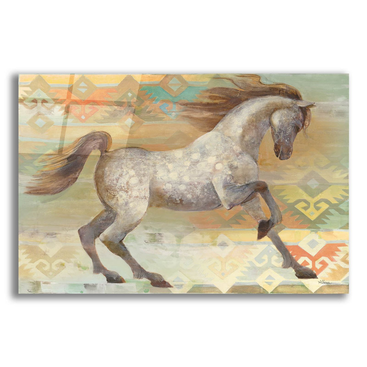 Grand Entrance Southwest Boho by Albena Hristova acrylic glass wall art