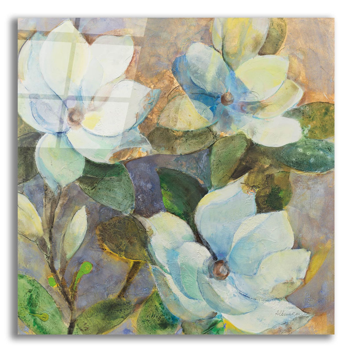 May Magnolias by Albena Hristova acrylic glass wall art