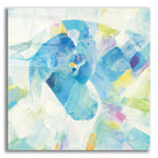 Kaleidoscope Horse 4 by Albena Hristova acrylic glass wall art