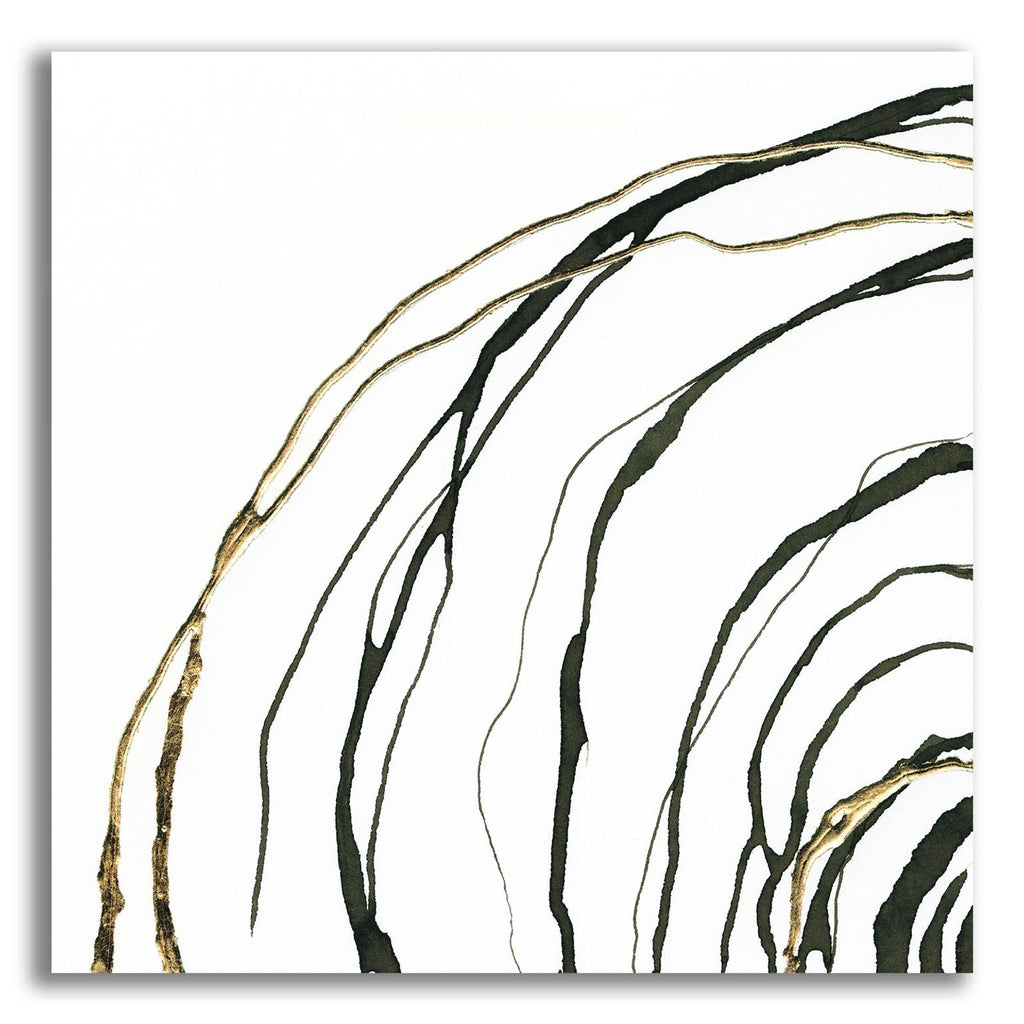 Not Quite Concentric 1 by Chris Paschke acrylic glass wall art