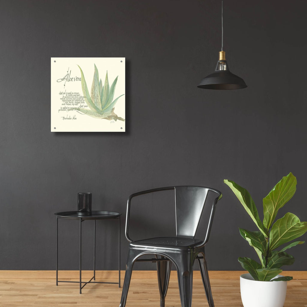 Aloe Vera by Chris Paschke - 24x24 acrylic wall art in a room